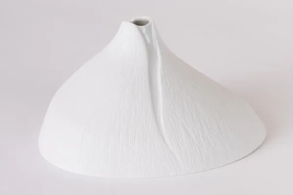 法國.白蔓瓷藝 Atelier du Blanc - 鬱金香花瓶：圖片 2