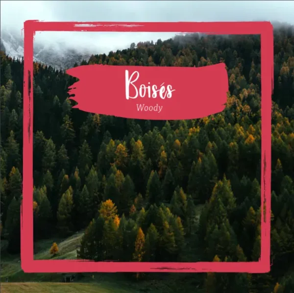 法國阿爾卑斯山香氛蠟燭 - Forêt des Alpes 阿爾卑斯山的森林：圖片 2