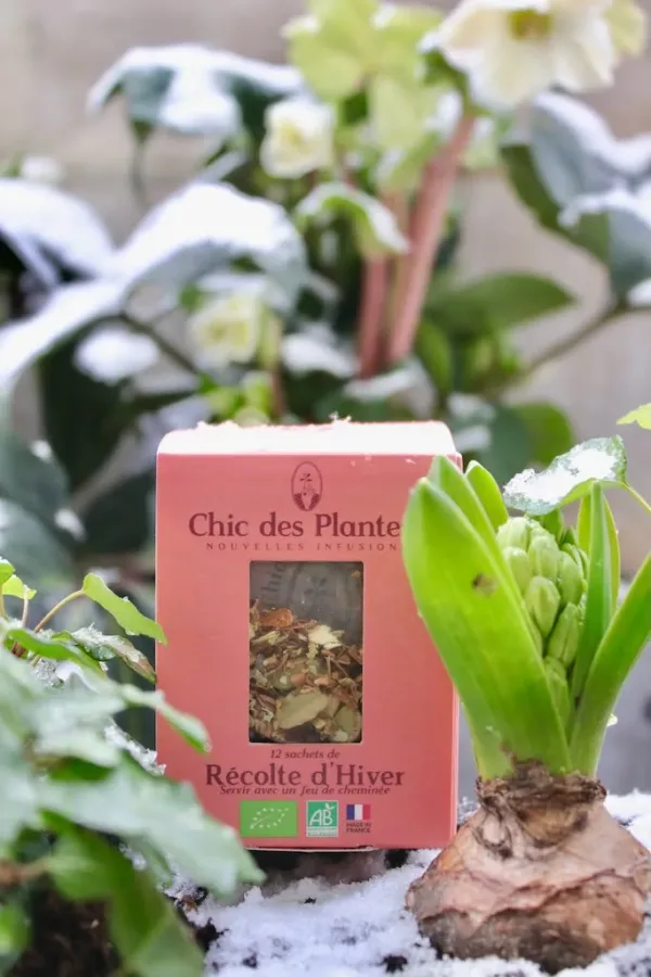 法國 Chic des Plantes 有機花草茶 - RÉCOLTE D’HIVER 冬藏：圖片 3