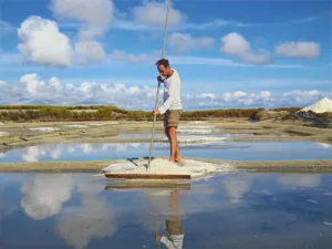 《什麼是鹽之花?》 6 圖克圖克|歐洲職人選物 harvesting s 圖克圖克|歐洲職人選物
