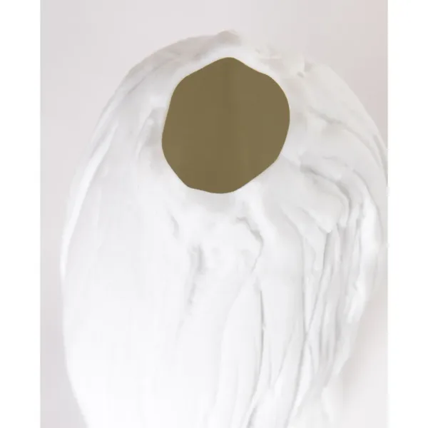 法國.白蔓瓷藝 Atelier du Blanc - 桌燈系列 VINEA 潺流(19.5cm)：圖片 3