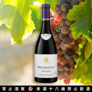 法國布根地黑皮諾紅葡萄酒 2018 [購買請洽line客服]