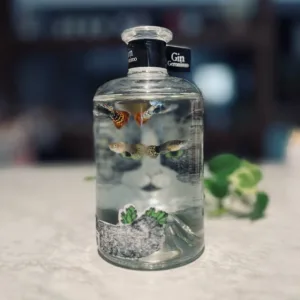 貓視眈眈琴酒瓶魚缸 Geronimo 500ml