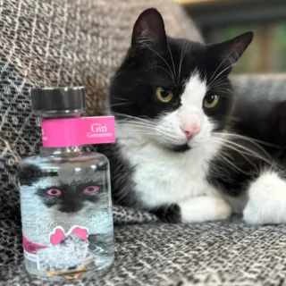 thomas rose gin 1 圖克圖克|歐洲職人選物
