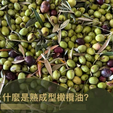 blog olive oil maturee 圖克圖克|歐洲職人選物