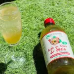 melchiori organic apple vinegar