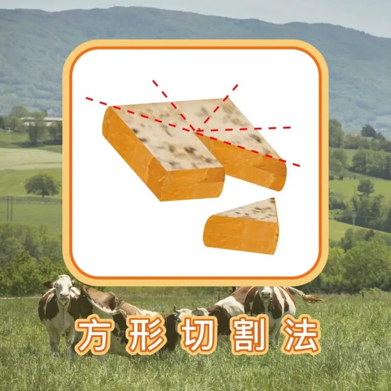 Cheese cutting_03