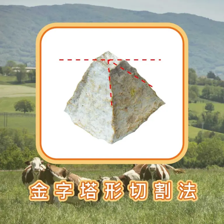 《起司怎麼切？》| 圖克圖克  內文配圖。