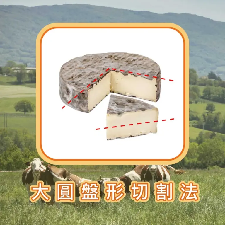 Cheese cutting_06