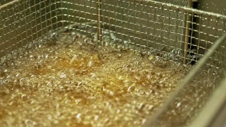 《什麼是棕櫚油？》 內文配圖。