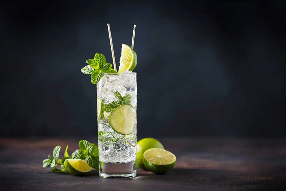 gin tonic_shot