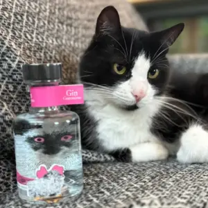 thomas rose gin 1 圖克圖克|歐洲職人選物