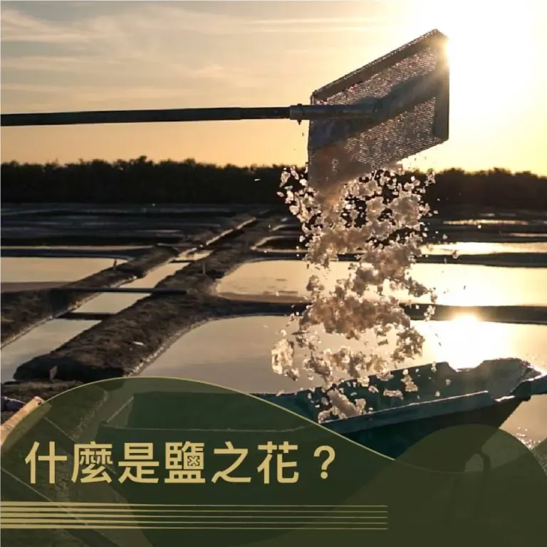 《什麼是鹽之花?》 文章封面。