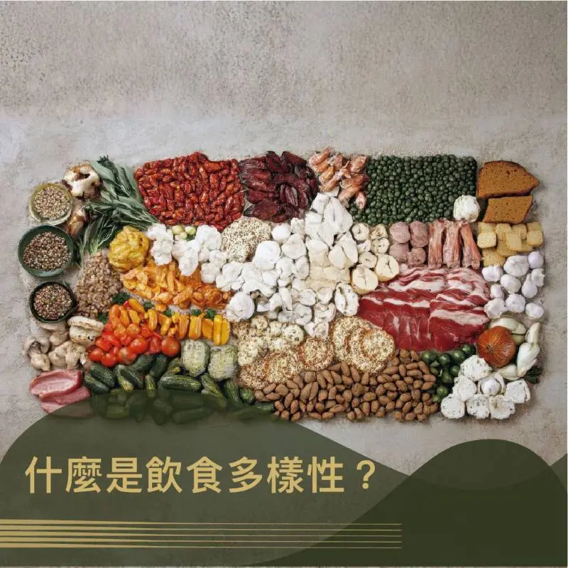 《什麼是飲食多樣性? 為什麼原型食物與天然油脂能改變你的健康》| 圖克圖克 文章封面。