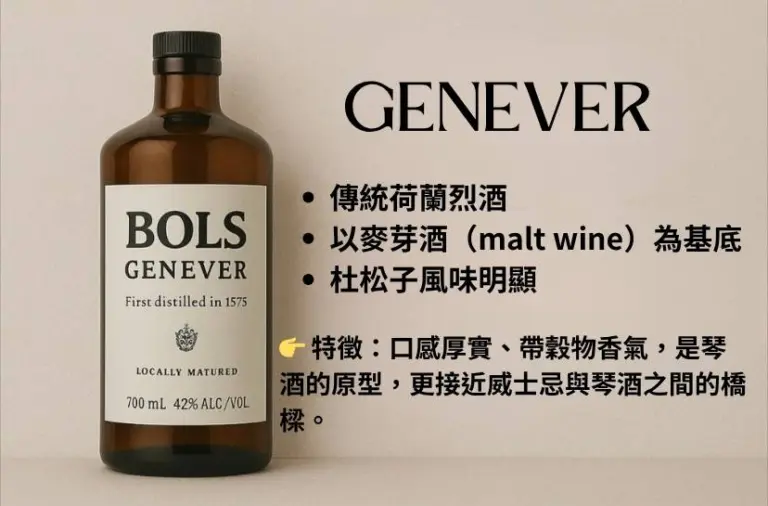 TRUCTRUC-GIN_GENEVER