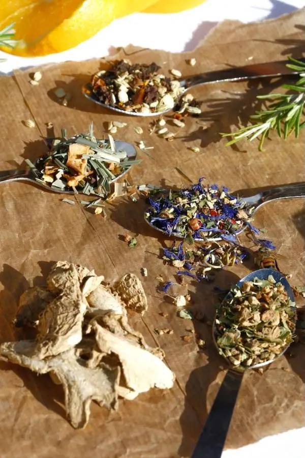 《什麼是 Tisane？》帶你分清「茶」與「花草茶」的本質差異｜圖克圖克 內文配圖。