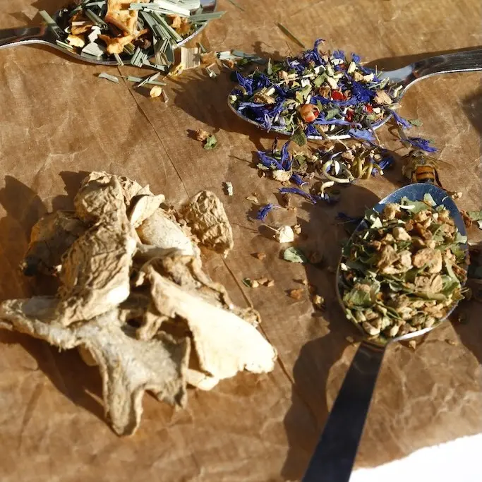 《什麼是鹽之花?》 17 圖克圖克|歐洲職人選物 《什麼是 Tisane?》帶你分清「茶」與「花草茶」的本質差異|圖克圖克 文章封面。