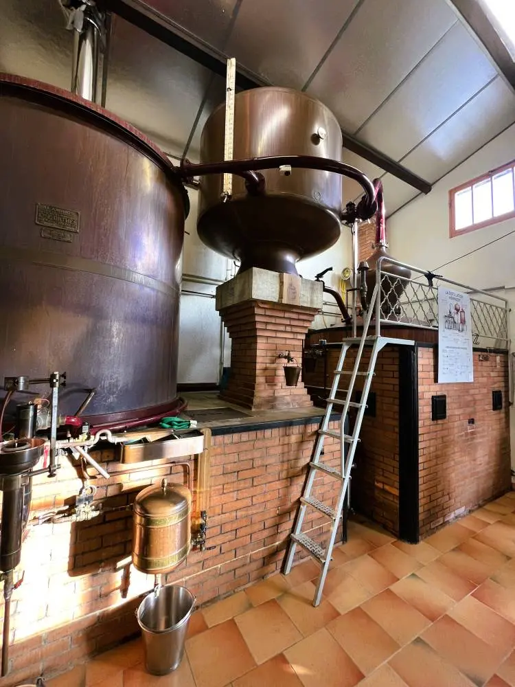 deljoy boiler_s