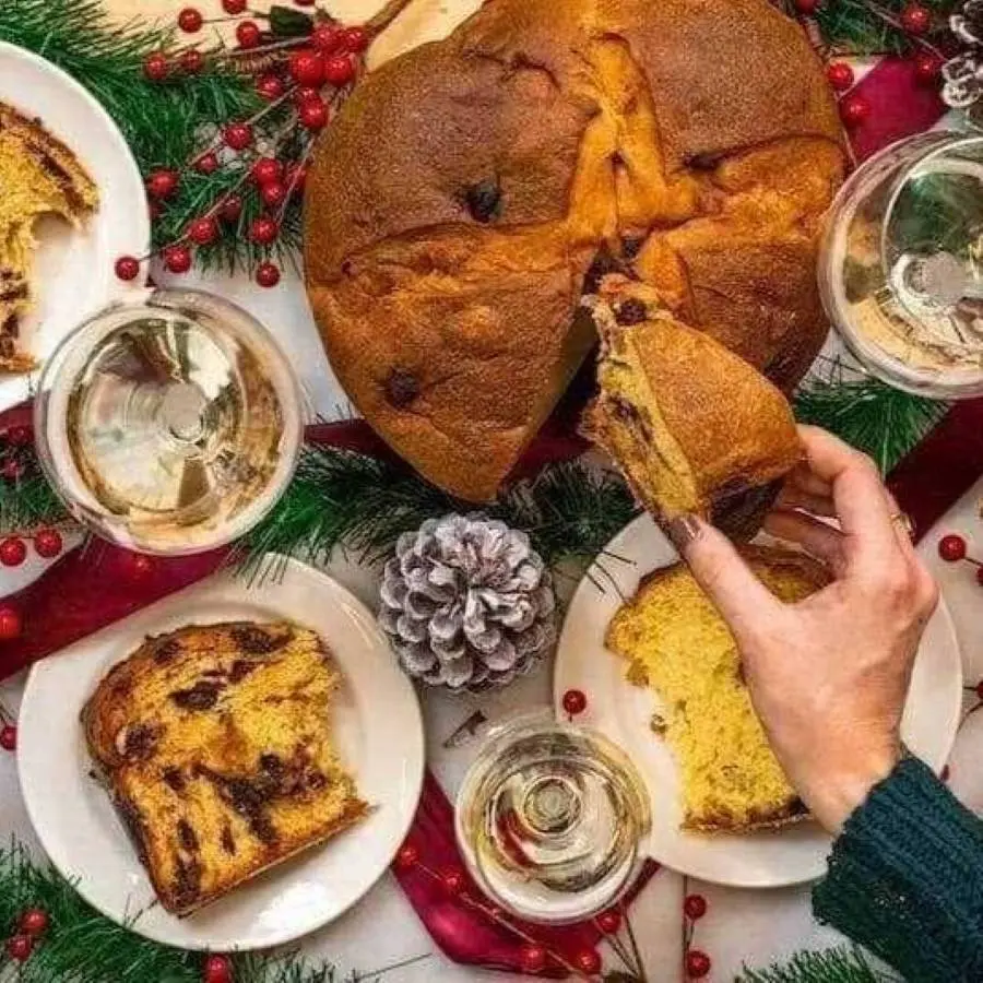 boscobello panettone4 圖克圖克|歐洲職人選物